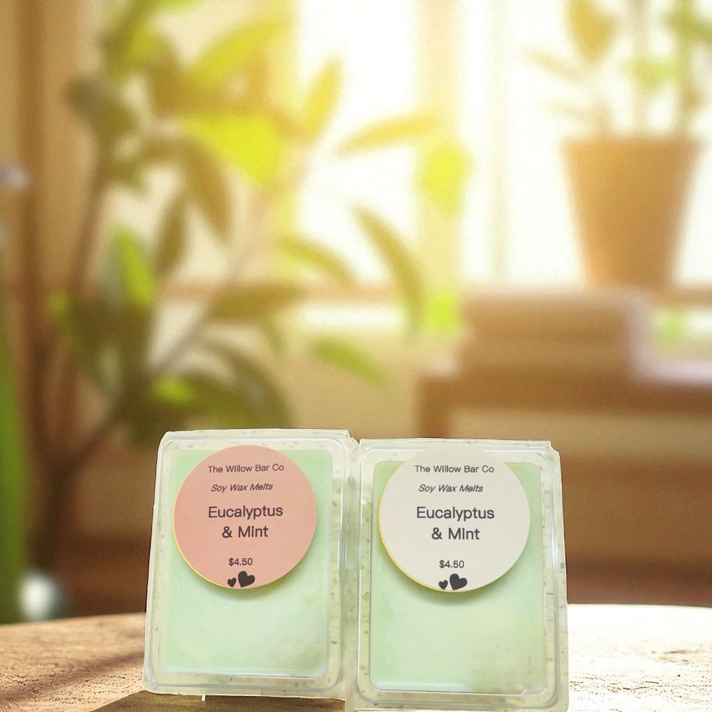 Eucalyptus & Mint soy wax melts